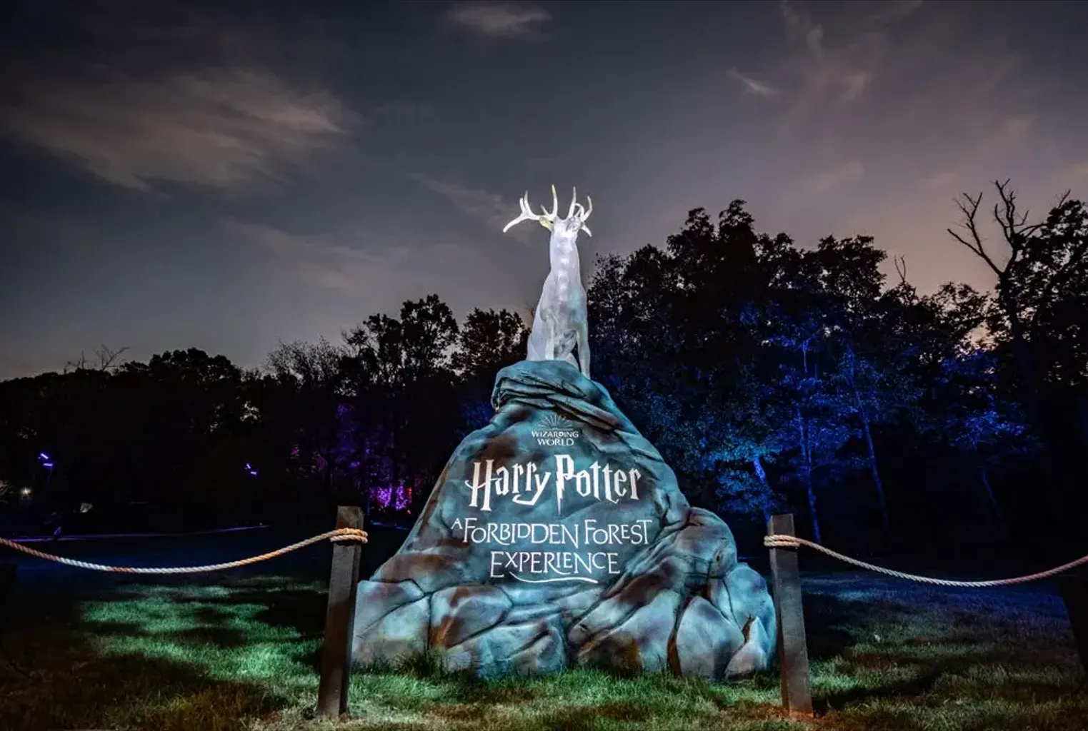 Harry Potter: A Forbidden Forest Experience Coming to Singapore in February 2024