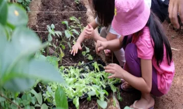 Learn to Plant for Kids During School Holidays at Kebun Kumara
