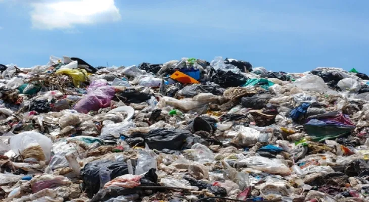 Peneliti Kembangkan Bakteri Pemakan Plastik, Harapan Baru untuk Mengurangi Sampah