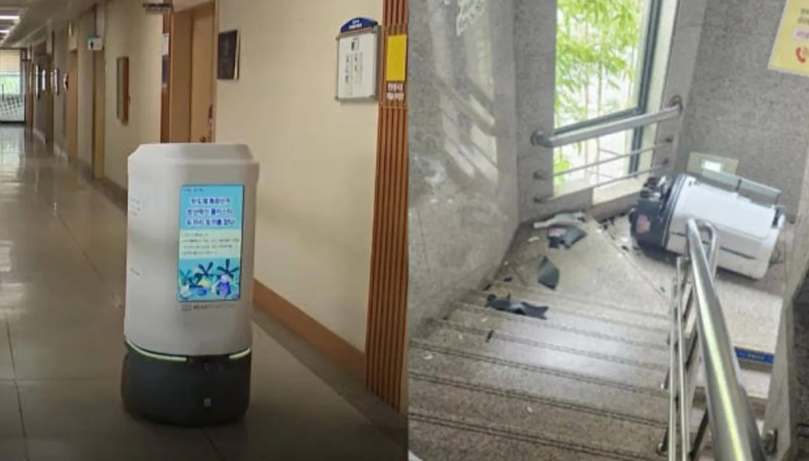 Robot Pembantu PNS Pertama di Korea Diduga Bunuh Diri Akibat Terlalu Banyak Kerja