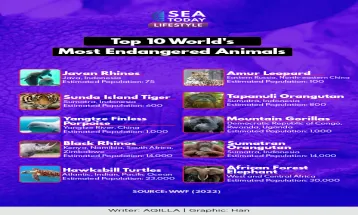 Top 10 World's Most Endangered Animals