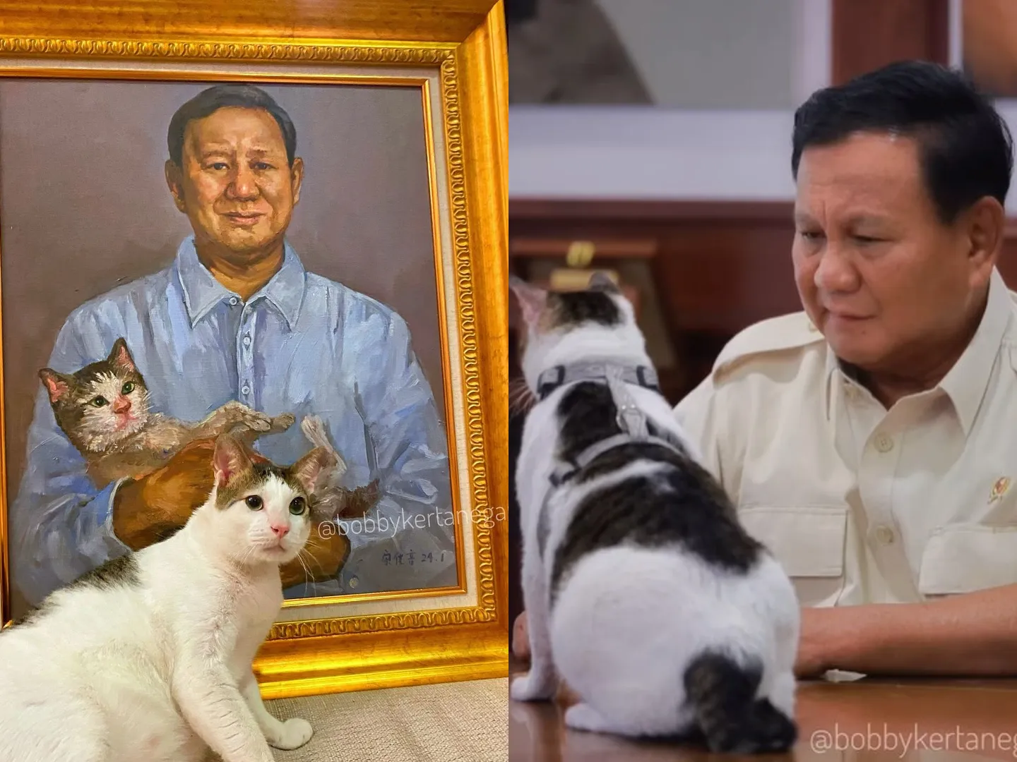 Mengenal Bobby Kertanegara, Kucing Kesayangan Prabowo yang Menggemaskan