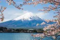 Spot Terbaik untuk Melihat Gunung Fuji di Jepang