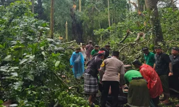 Pohon Tumbang di Monkey Forest Ubud, Dua WNA Meninggal