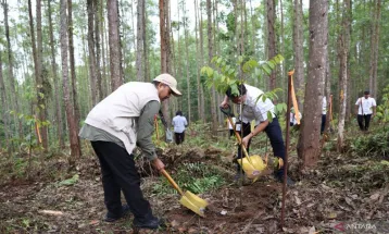 OIKN Tanam 600 Bibit Pohon di Miniatur Hutan Hujan Tropis Nusantara