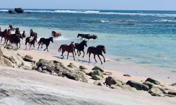 Sumba Jadi Destinasi Terbaik di Asia untuk Dikunjungi Tahun 2025 versi Time Out