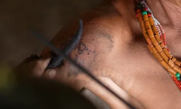 Exploring the Harmonious Culture of the Mentawai Tribe: The Oldest Tattoo Tradition, and Sago Worm Hunting