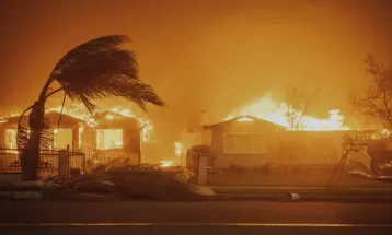 Kebakaran Hutan di Los Angeles, Lima Orang Tewas dan Ribuan Warga Dievakuasi