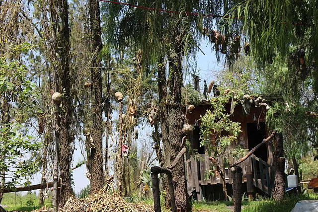 Kamis Misteri: Kisah Pulau yang Dihuni Boneka Horor di Meksiko